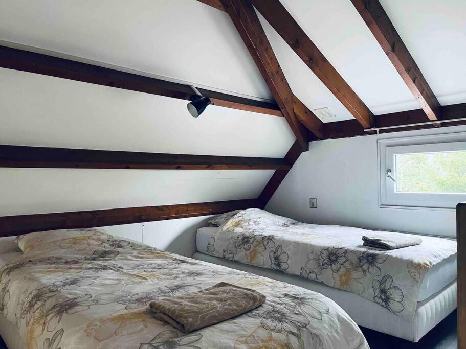 Leuke Bungalow In Noord-Holland Opmeer Luaran gambar